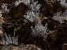 crystals-cave-02.jpg