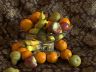 fruits-bowl-08.jpg