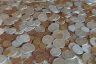 coins-21.jpg