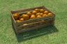 oranges-box-05.jpg