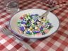 pills-plate-05.jpg